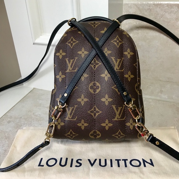 Louis Vuitton Palm Springs Mini Backpack - Picture 2 of 8
